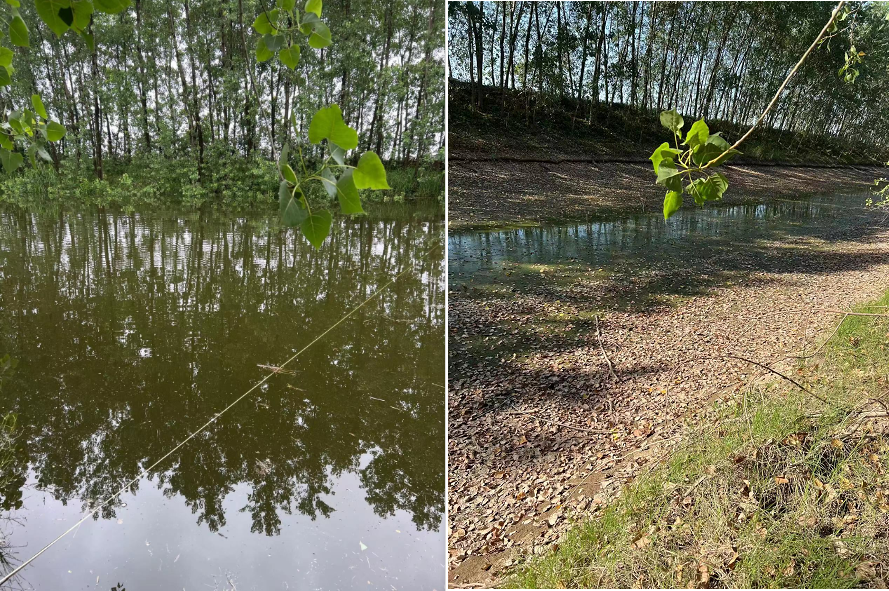 8月19日,湖北省荊州市江陵縣內一處河段干枯前后對比。圖/受訪者提供