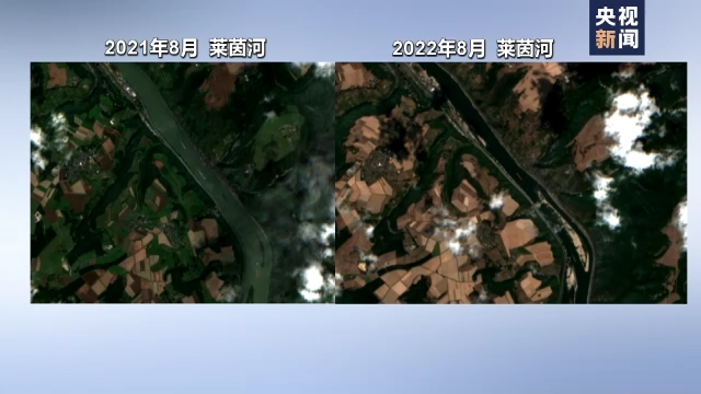 ���Աȣ�2021��8������ӡ�2022��8�������