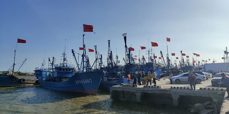 9月1日，在沧州黄骅南排河中心渔港，一排排整修一新的渔船整装待发。黄骅市融媒体中心 赵俊杰 摄