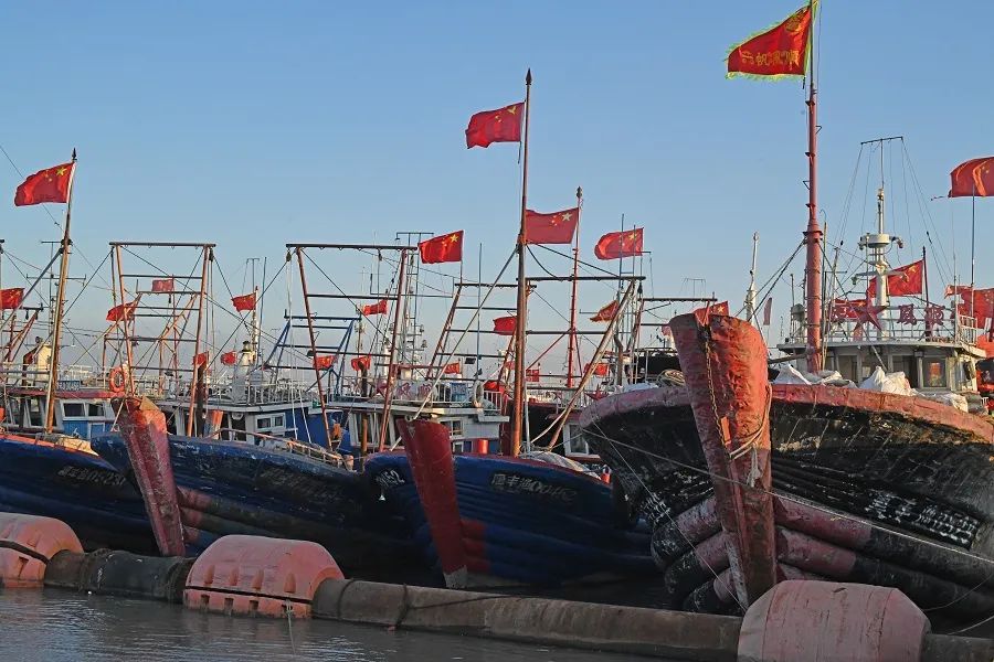 早8点，唐山市丰南区黑沿子渔码头。郑文忠 摄