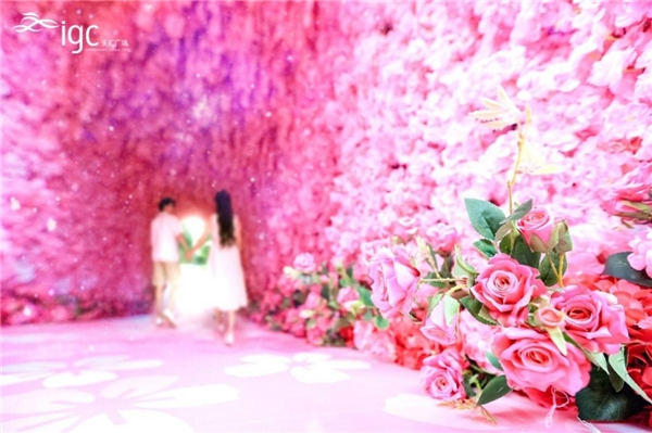 (米菲花花打卡秘景)