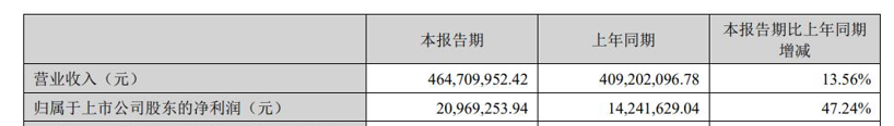 图片来源:探路者财报截图