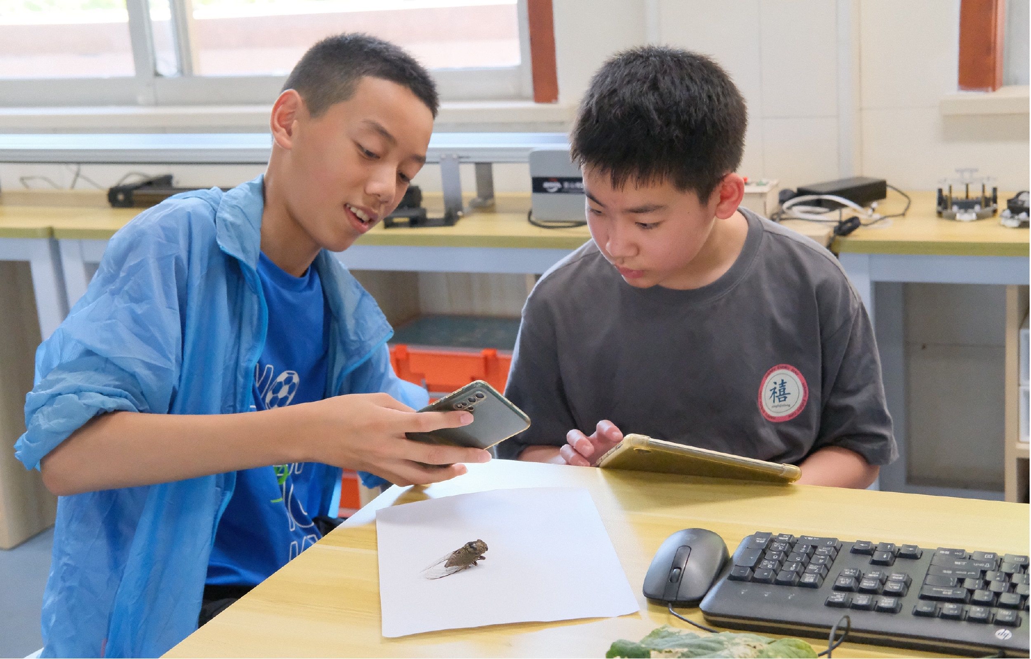 温州市瓯海区实验小学集团学校的学生在拍摄昆虫,为建立模型库做准备