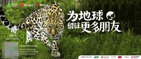 保护金钱豹,为地球留驻更多朋友