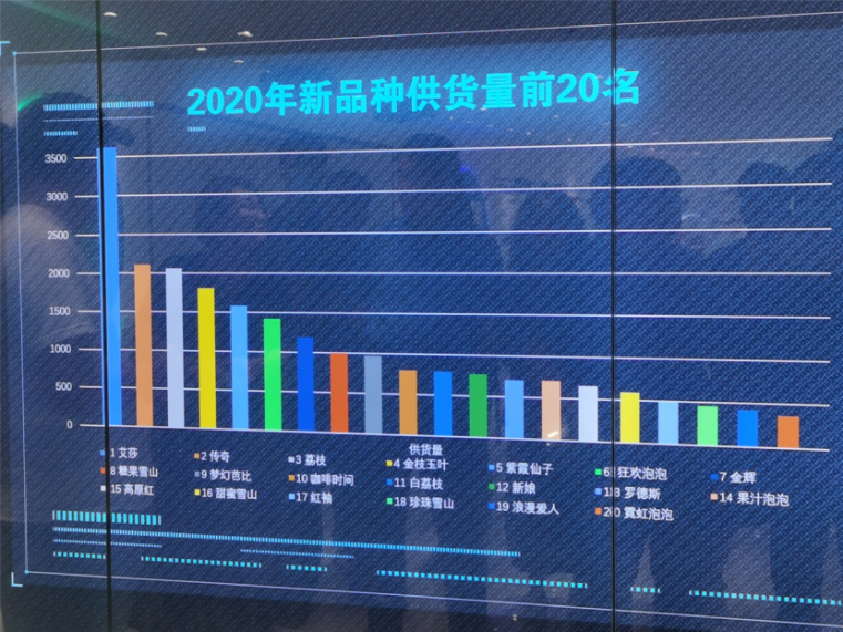 2020年新品種供貨量前20名
