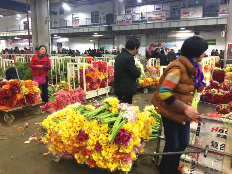 斗南花市銷售的非洲菊