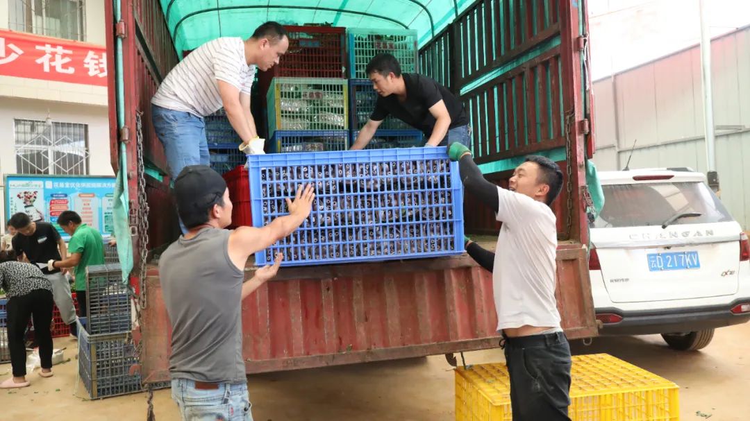 供貨商在斗南花市卸貨