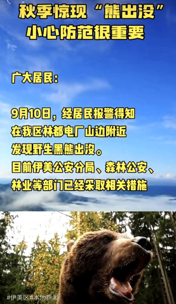 栏目主编：顾万全 文字编辑：房颖 题图来源：图虫创意 图片编辑：雍凯