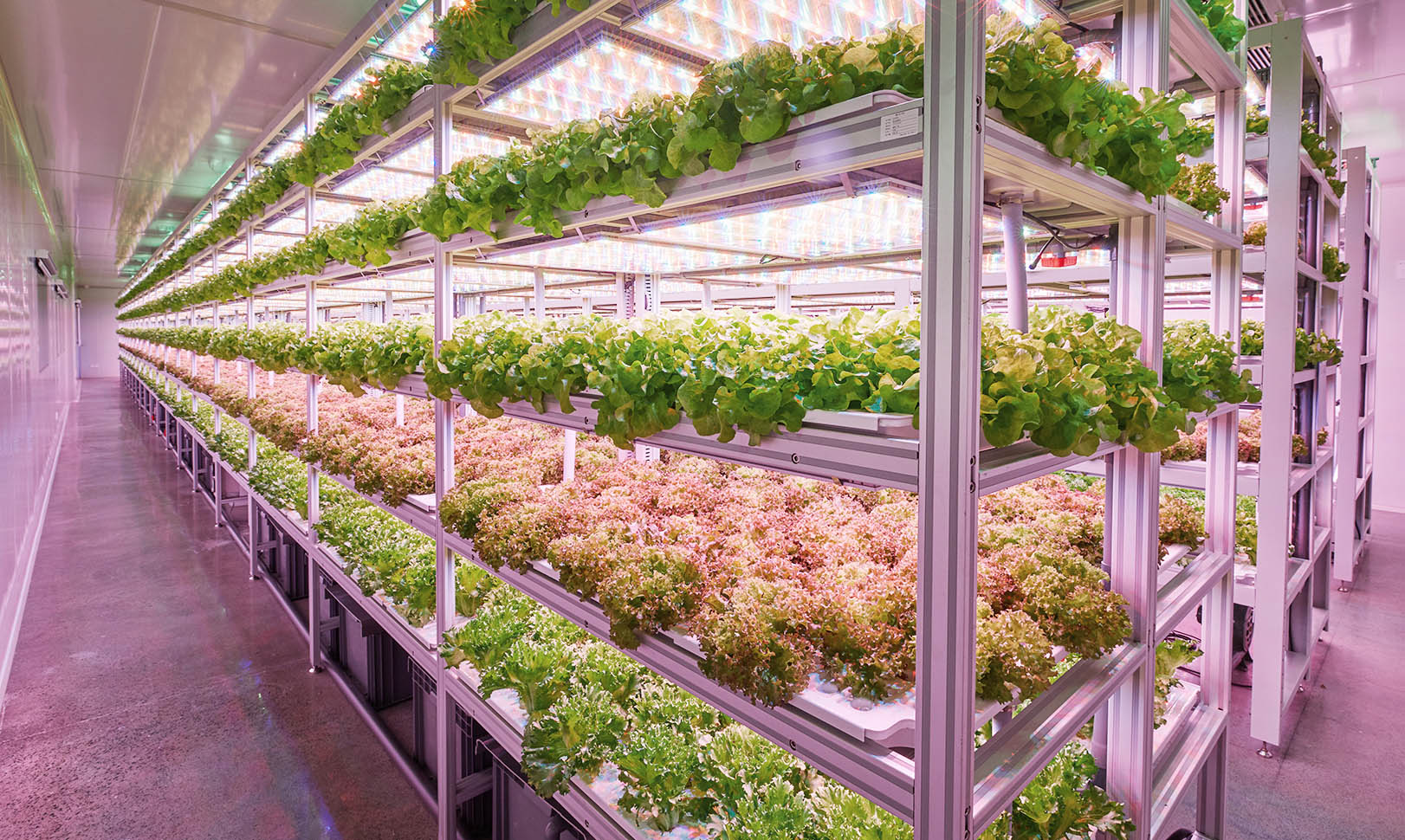 【图:四维生态全数字化管控的数智植物工厂环境(部分)】
