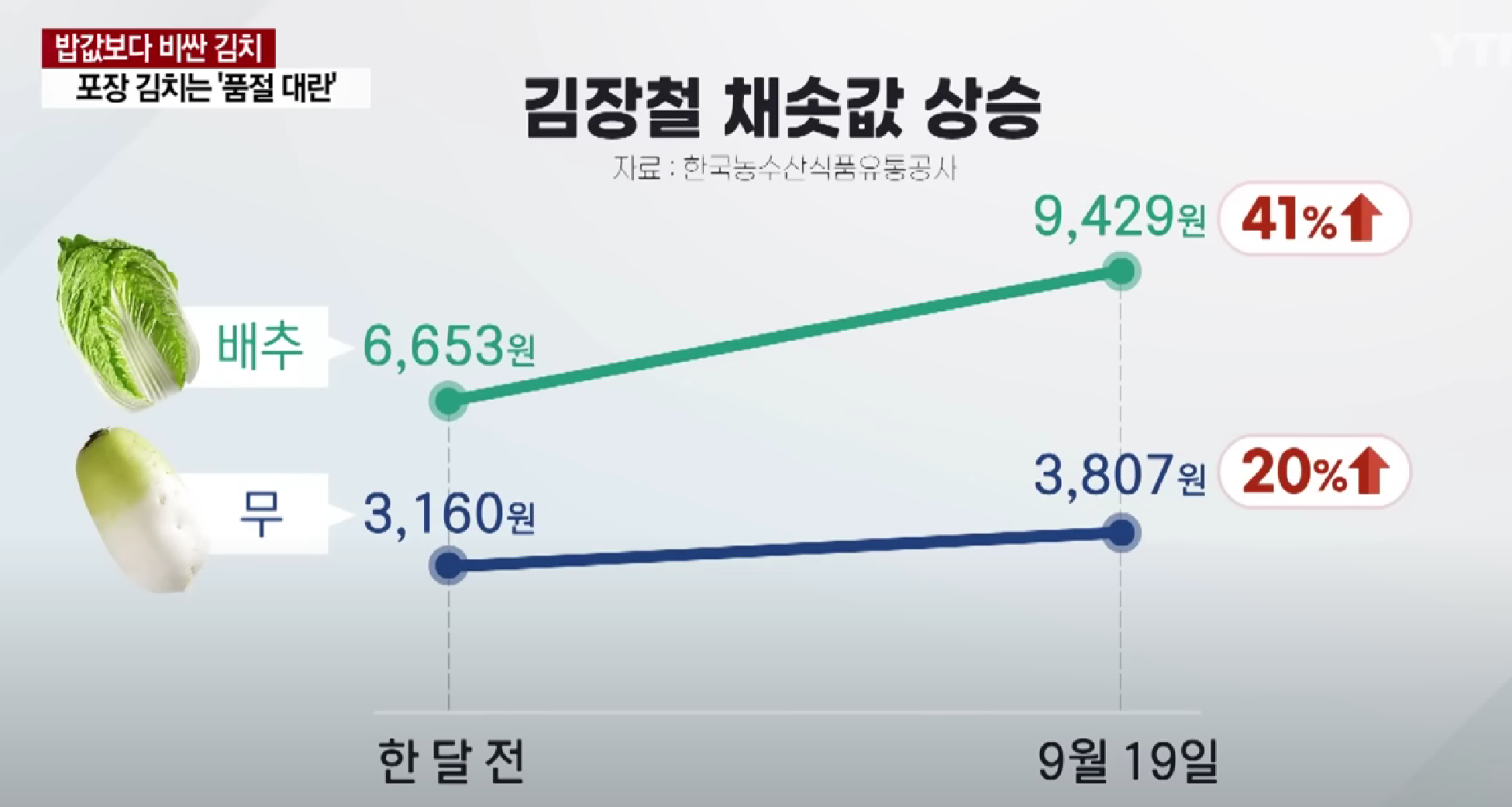 韩国白菜和萝卜价格飙升