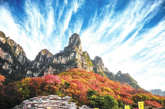 玉柱霞举
