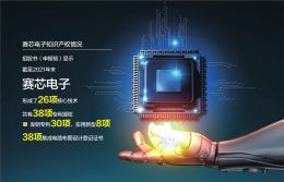 下游市场冰火两重天赛芯电子IPO“已问询”(图1)