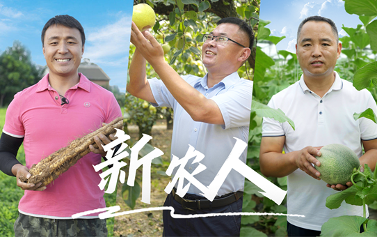 (来源:新视线)