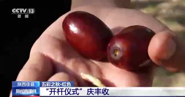 网赌游戏软件开发app|网赌游戏软件开发app Roohi-HD1080P-MP4-中文字幕