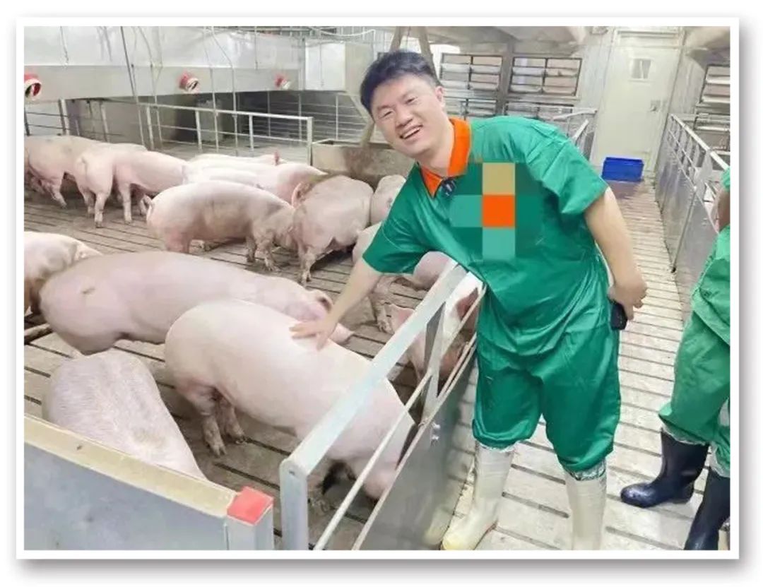 圖片來源:富國基金直播
