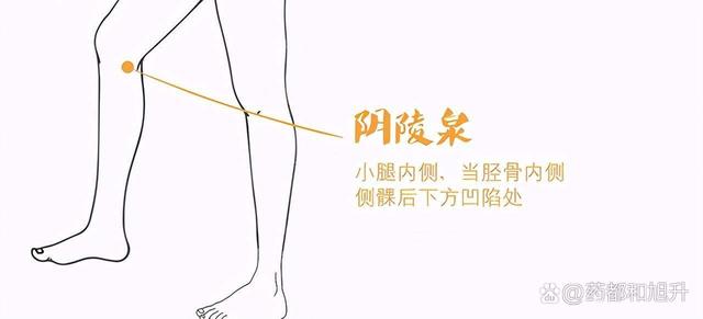 湿气到底是怎么来的?又该怎样祛湿最有效,中医教你特效祛湿方法休闲区蓝鸢梦想 - Www.slyday.coM 湿气到底是怎么来的?又该怎样祛湿最有效,中医教你特效祛湿方法休闲区蓝鸢梦想 - Www.slyday.coM