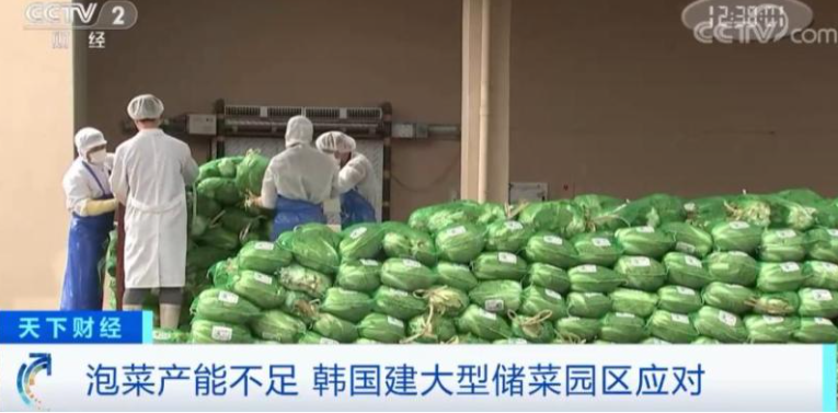 图片来源:央视财经