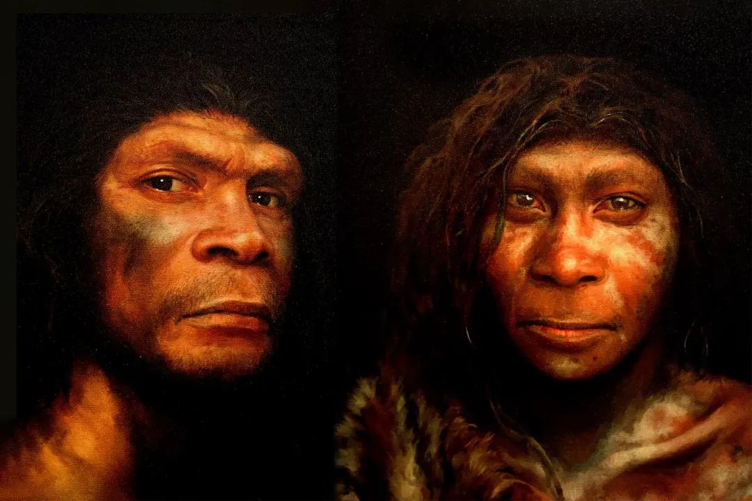 ·使用现代技术复原的尼安德特人男（左）女（右）图像。