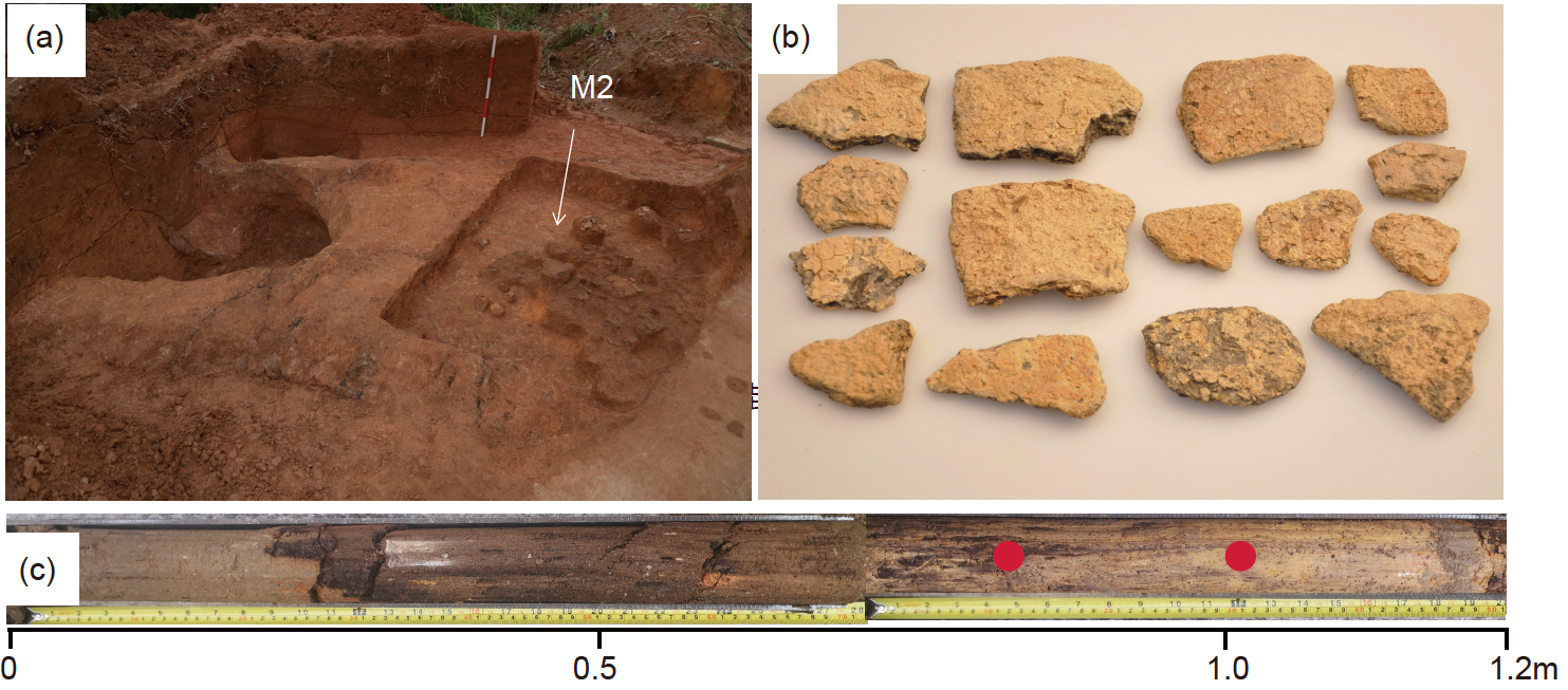 （a）大坪顶遗址发掘现场、（b）出土陶片、（c）钻孔（图源：《中国科学: 地球科学》）