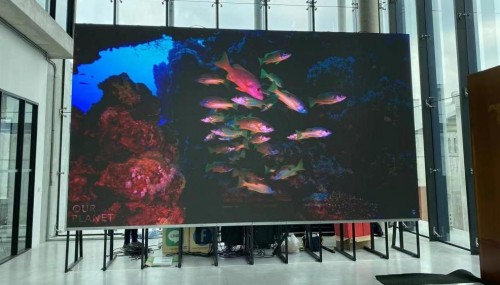 (海信小间距LED显示屏入驻泰国议会电视台)