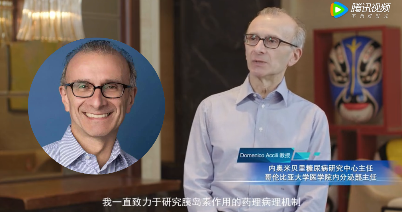 　　Domenico Accili 教授