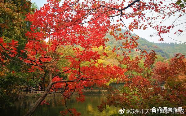 图片来源：苏州市天平山风景名胜区官方微博