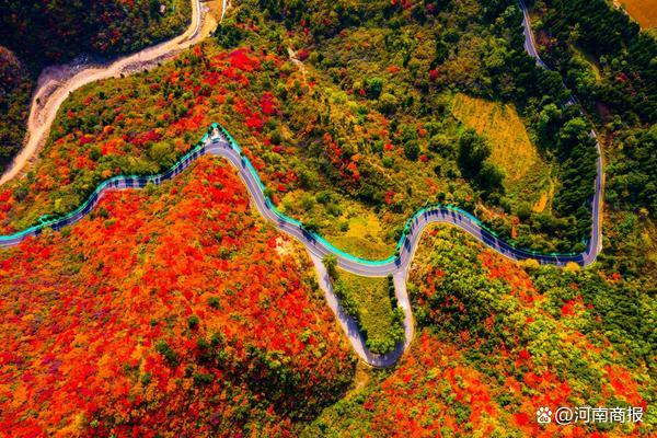 图片来源：济源文旅集团