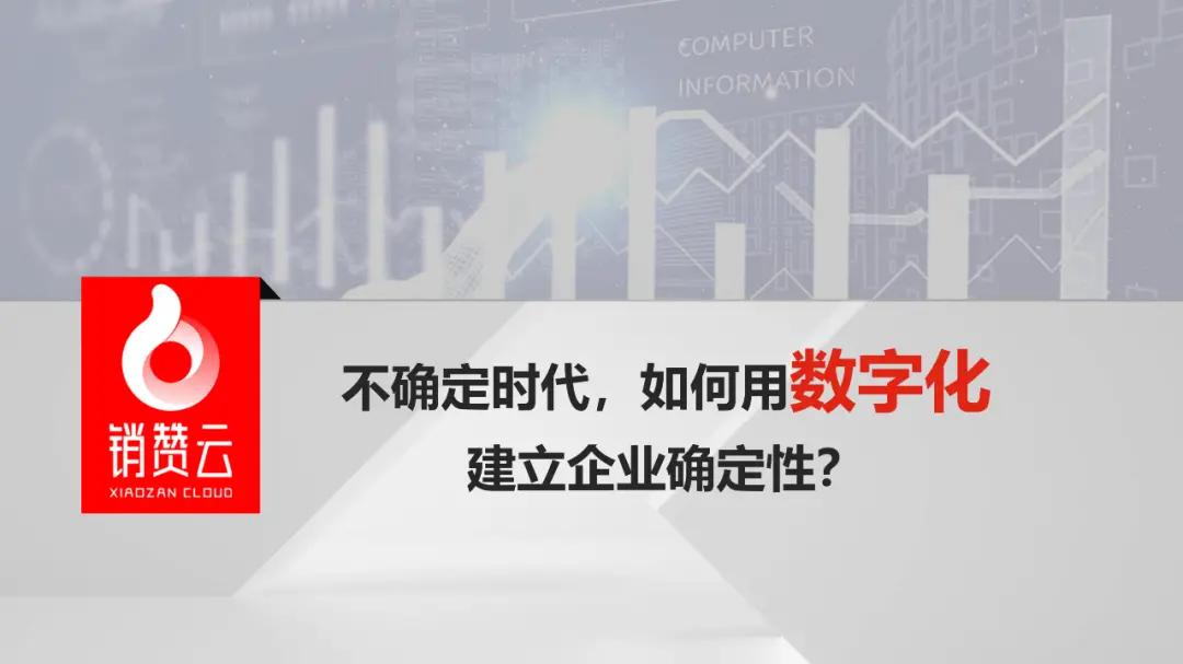 销赞云创始人兼CEO陈爱华