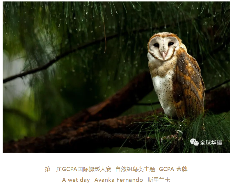 (来源:中国网)