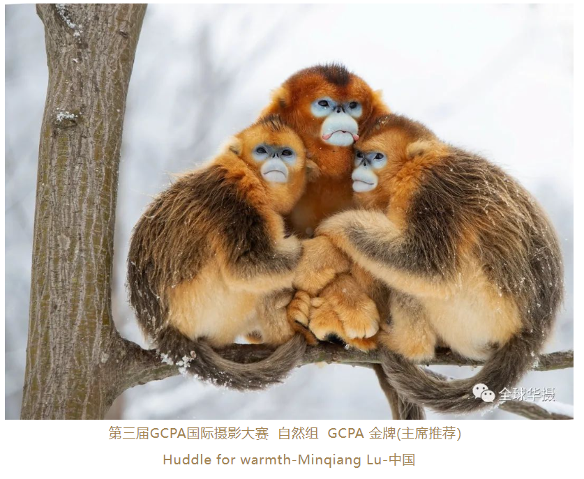 (来源:中国网)