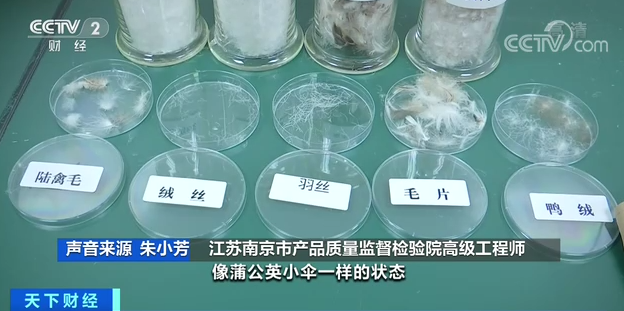 开云体育教育部等七部门发文 农村义务教育学校食堂应自主经营,不得对外承包 开云体育教育部等七部门发文 农村义务教育学校食堂应自主经营,不得对外承包