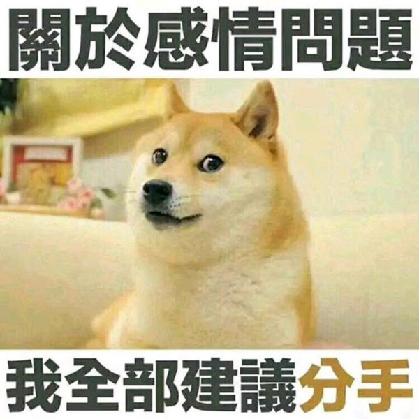 齐翔腾达重整程序转入执行阶段,实控人或变更为山东省国资委 齐翔腾达重整程序转入执行阶段,实控人或变更为山东省国资委
