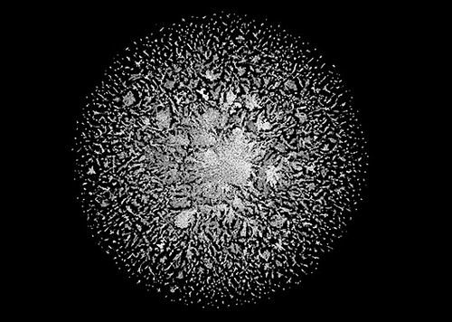 图片来源：ESM宏基因组图谱