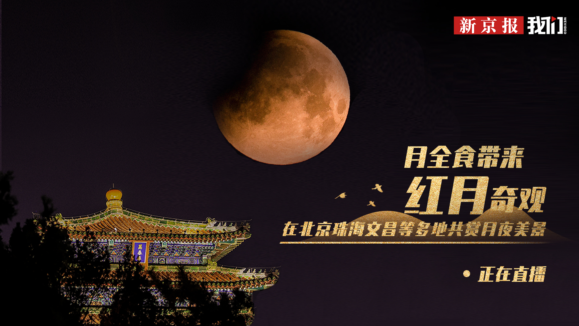 雨燕直播- NBA直播- 足球直播- 世界杯直播 LIVE月夜直播免费版官网版