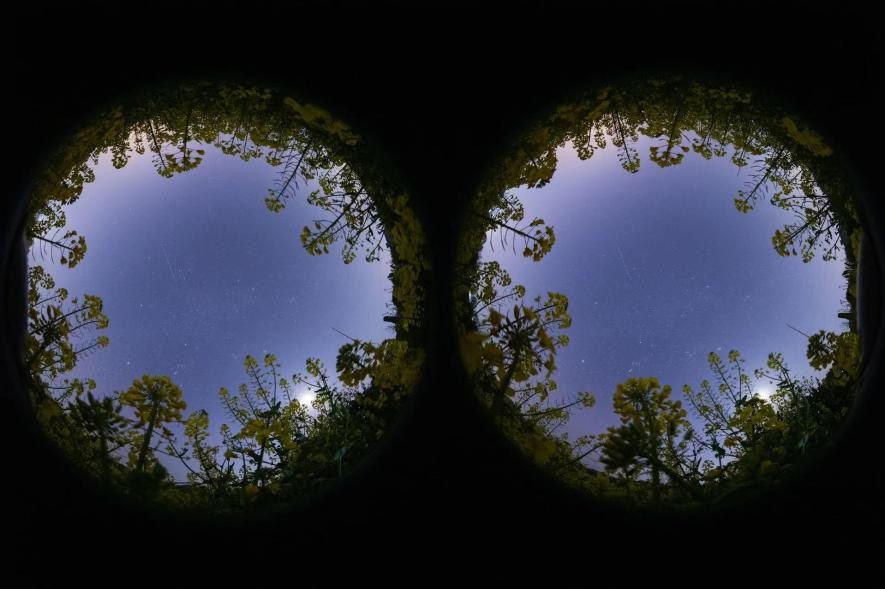 戴建峰应用EOS虚拟现实系统拍摄的星空(传感器原画面,未进行等距柱状投影)