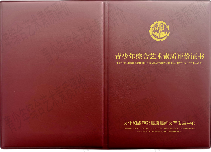 (青少年综合艺术素质评价证书样本)
