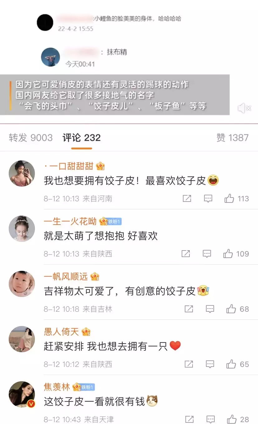 8月,微博@央视网 下,网友对“馄饨皮”的初印象