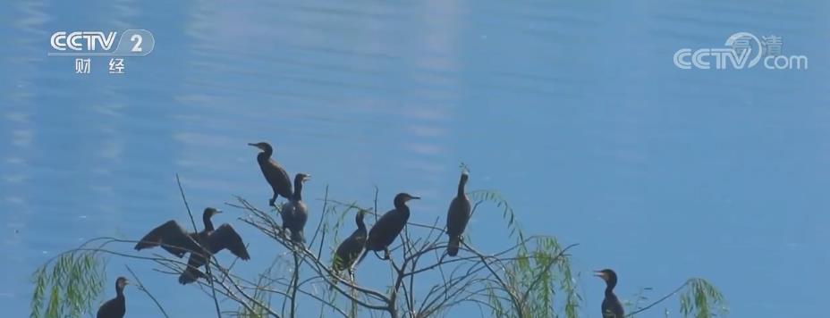 深度揭秘(漢旺濕地公園)春天的漢豐湖,(圖1) 深度揭秘(漢旺濕地公園)春天的漢豐湖,(圖1)