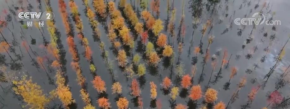 深度揭秘(漢旺濕地公園)春天的漢豐湖,(圖3) 深度揭秘(漢旺濕地公園)春天的漢豐湖,(圖3)