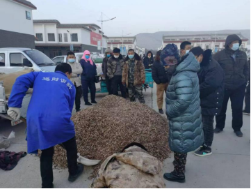 康美甘肃西部中药城柴胡销售情况(图片来源:受访者供稿)