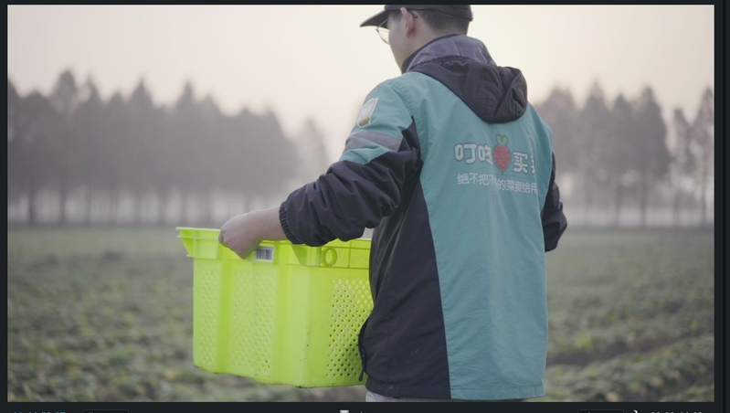 叮咚买菜建立多个直采基地。