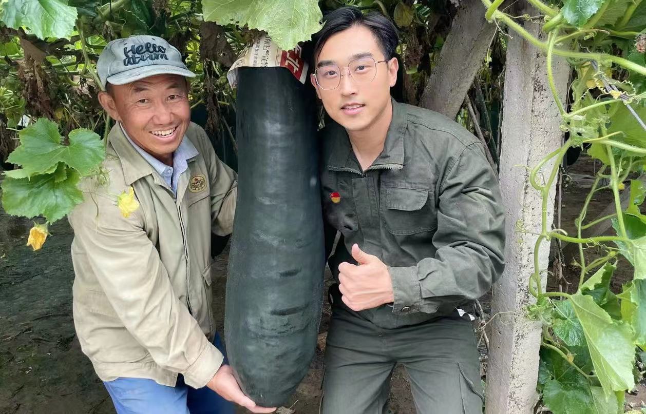 ▲佟庄冬瓜丰产 90后“小刘书记”(图右)与村民在冬瓜地 (摄影:施安)