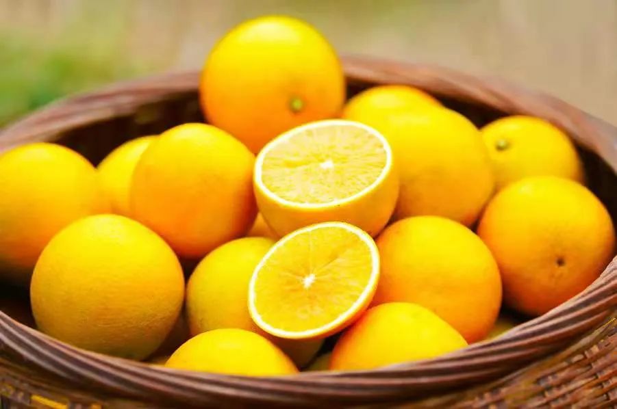 黄皮是哪里的水果 3302-17880c6c7202ef725cd5d334be49d360.jpg