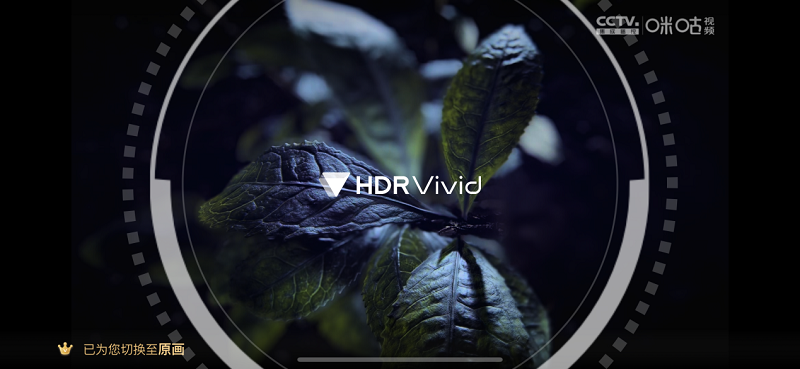 纪录片《一叶茶,千夜话》HDR Vivid版本播放效果