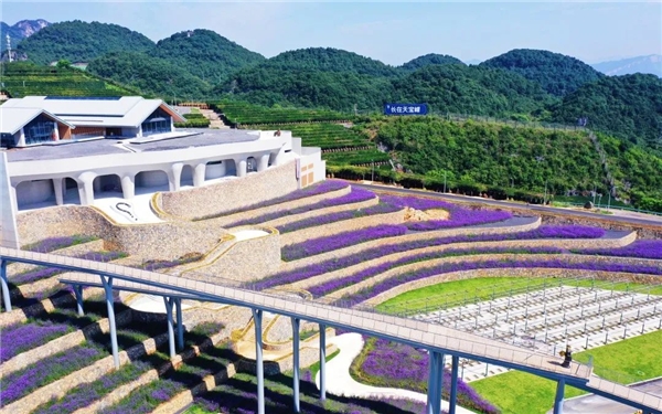 △郎酒庄园·地之阁
