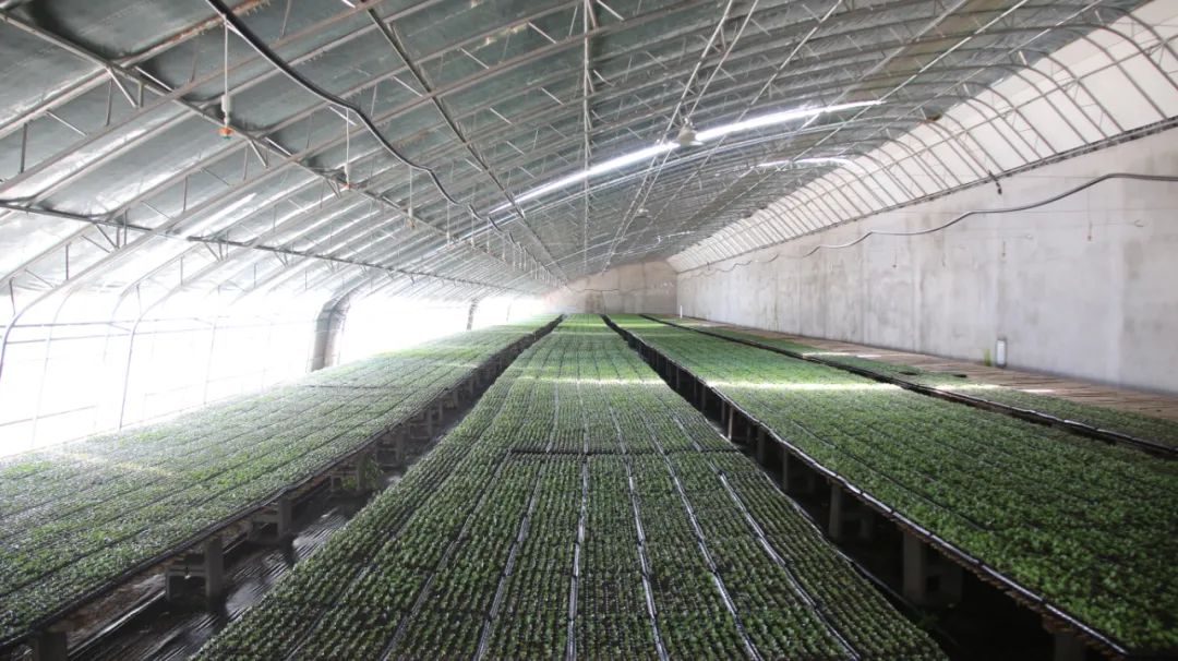 不要告诉别人(宁夏新农村建设规划)宁夏乡村振兴示范村门票,(图3) 不要告诉别人(宁夏新农村建设规划)宁夏乡村振兴示范村门票,(图3)