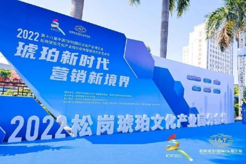 广东省文化和旅游厅党组成员、副厅长赵红同志莅临活动现场