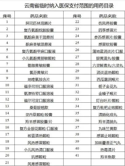 图为云南省临时纳入医保支付范围的用药目录 云南省医保局供图