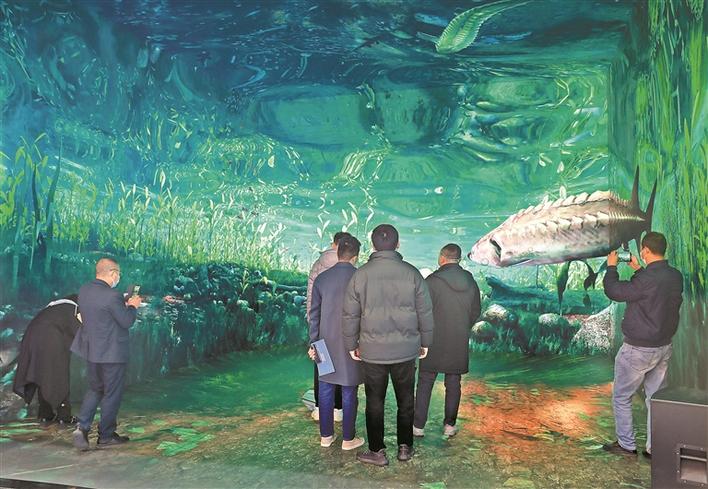 3D全息图让人身临其境地体会万千世界。深圳特区报记者 李忠 摄