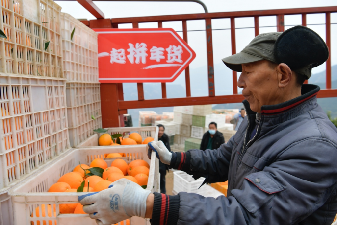▲一筐筐脐橙运到全国各地。方向 摄